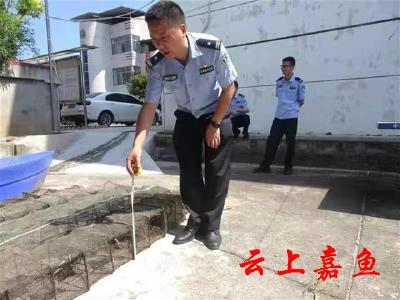 嘉鱼公安零容忍长江非法捕捞 