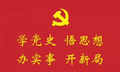 我县召开党史学习教育推进会
