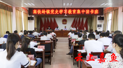 高铁岭镇党史学习教育集中读书班圆满结束