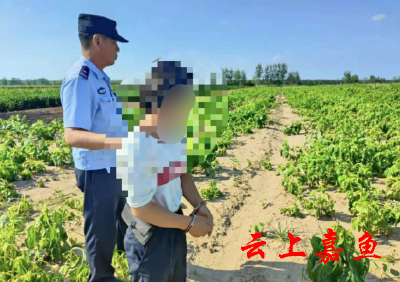 潘家湾派出所快速破获一起损害农作物案