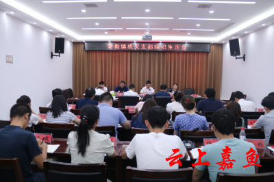 新街镇召开专题组织生活会