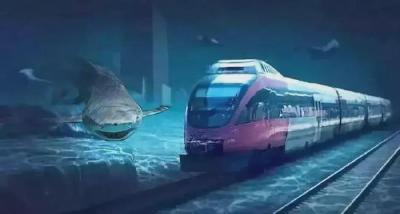 连续穿越1000多个溶洞 世界级海底隧道成功贯通