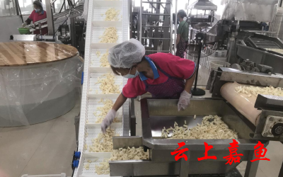 陆溪镇引进能人回乡创业助力乡村振兴