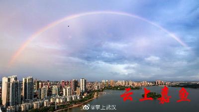  “书”写美丽嘉鱼 文化振兴乡村 