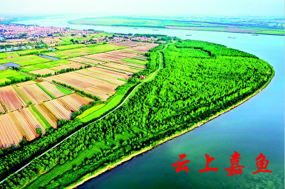 【长江大保护】湖北嘉鱼百公里长江沿线年内复绿