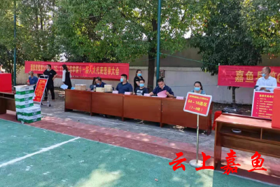 潘家湾镇有序推进县镇两级人大代表选举