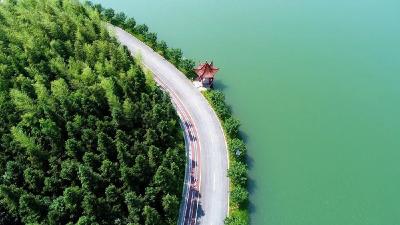 【每日一景】湖北嘉鱼：田野乡村公路景如画