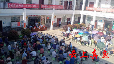 高铁岭镇召开县镇两级人大代表选举大会