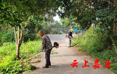 高铁岭镇清理垃圾杂草整治村容村貌