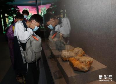 湖南张家界：博物馆里研学游 