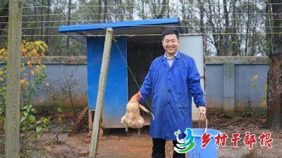 湖北嘉鱼县高铁岭镇：鸡住“别墅” 带动致富