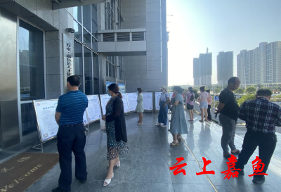 发挥人社服务效能助力优化营商环境