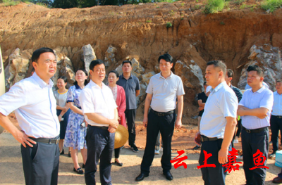 王永在调研扶贫大道与S359项目建设时强调：统筹推进道路交通各项工作，不断扩大项目综合效应