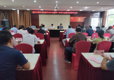 潘家湾镇举行机关支部和老年支部第十次党代会党代表选举大会
