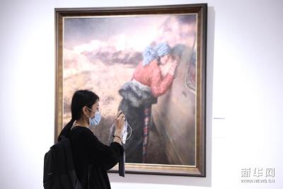 86件精品美术摄影作品展现雪域新篇 