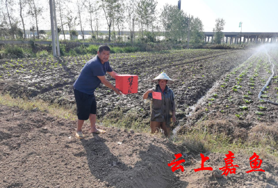 嘉鱼新街流动票箱走进田间地头