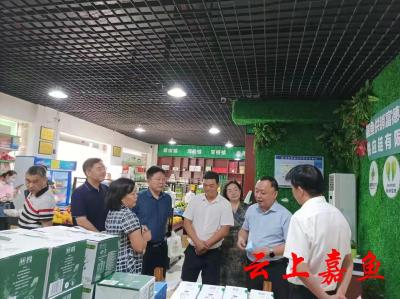 省供销社梅勇一行来嘉调研
