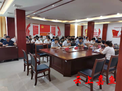 渡普镇召开学习习近平总书记“七一”重要讲话精神专题宣讲会