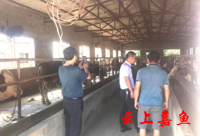 渡普镇开展农业养殖及环保情况督查