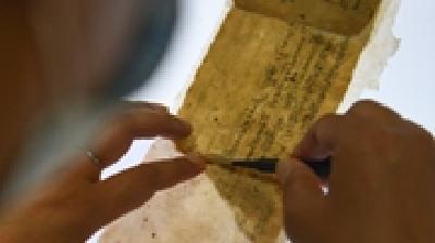 古籍保护也应注重基础研究 