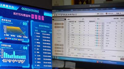 大数据赋能云平台 浙江安吉基层中医药问诊越来越智能