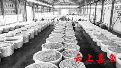嘉鱼：引进第三方，重点项目加速推进