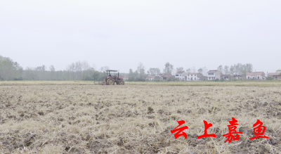 鱼岳镇秋冬农业开发忙