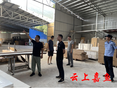 陆溪镇开展节前企业安全大检查