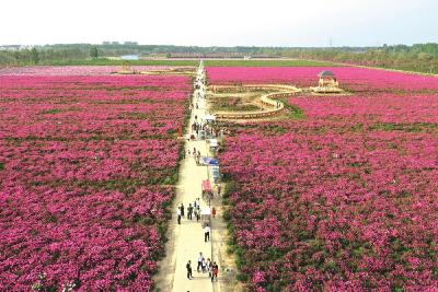融入“长三角” 亳州全力建设“世界中医药之都”