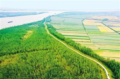我市3年沿江造林11万亩