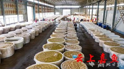 嘉鱼高质量发展观察丨“没钱是不是就不发展了？”嘉鱼县用市场办法解发展难题