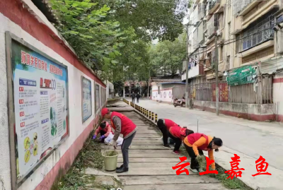 东街社区组织开展环境卫生大整治