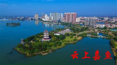 嘉鱼高质量发展观察丨嘉鱼城市建设拼“精致”：开展“三大行动”美全域