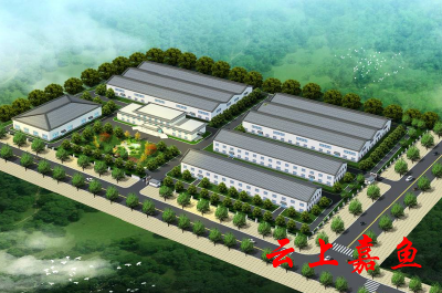 武汉中用工业科技有限公司：用实实在在投入促发展惠民生