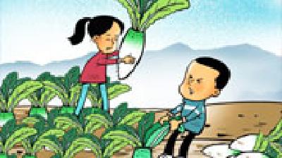 23日12时51分“霜降”：人间至此秋色尽，草木摇落露为霜 