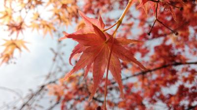 跌破10℃！又要降温了……