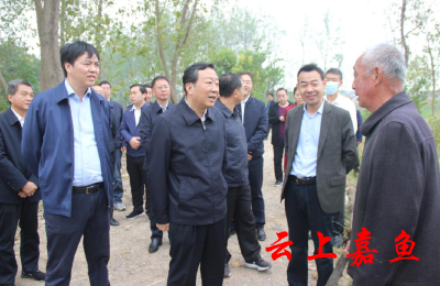 王远鹤来我县巡查长江时要求：落细落实长江大保护各项工作