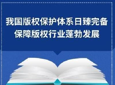 我国版权保护体系日臻完备，保障版权行业蓬勃发展 