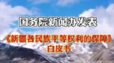 白皮书：新疆切实保障公民文化权利