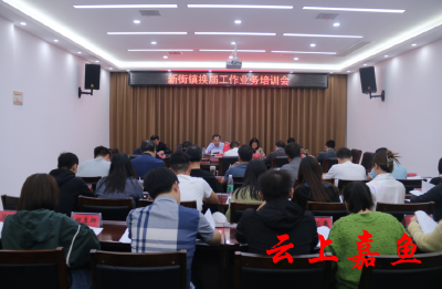 新街镇举行换届业务培训会