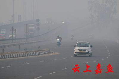 湖北多地大雾预警！出门请注意 