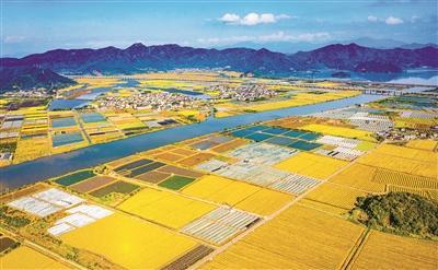 滨州医学院：学思践悟在“田野” 