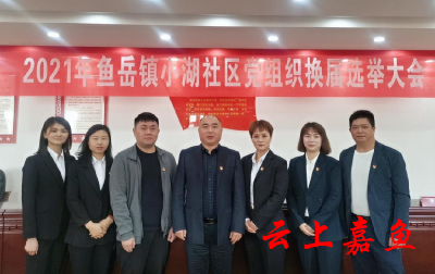 小湖社区开展党组织换届选举工作