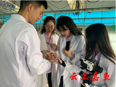高校学生走访乡村特色产业 