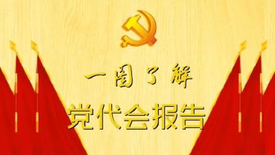 【聚焦党代会】嘉鱼：念好“五字经”，打好“武汉牌”