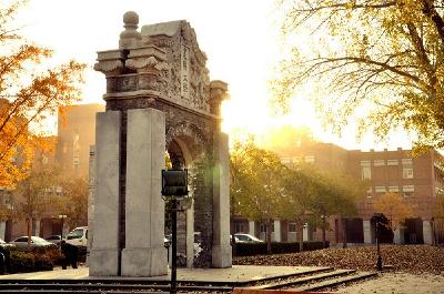 中国农业大学发布种业科技创新十大行动
