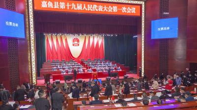 嘉鱼县第十九届人民代表大会第一次会议举行选举大会