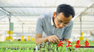 华南农业大学韦六三：以创新科技助力农业发展 