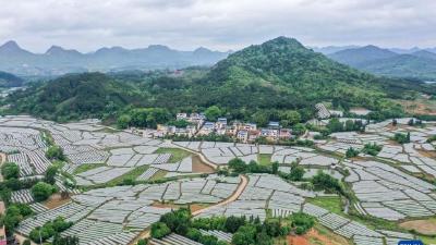 特稿：继续奋斗，走好新时代赶考路——写在党的十九届六中全会召开之际