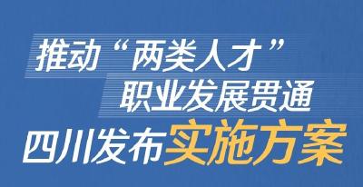 四川搭建人才成长“立交桥”，技能人才也可评职称了 